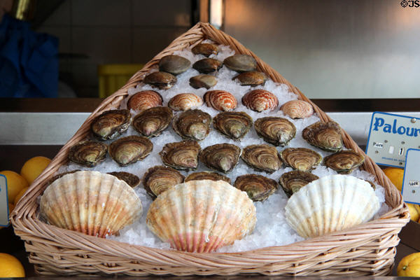 Basket of scallops & bivalve shellfish shop display. Paris, France.
