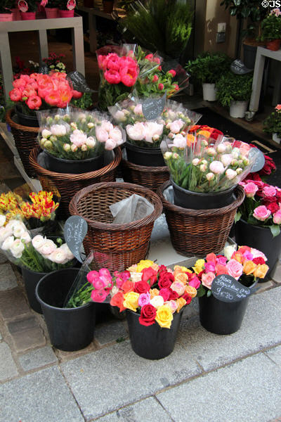 Flower stand on Parisian streets. Paris, France.