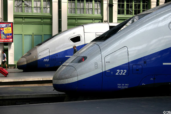 TGV trains in Paris rail station. Paris, France.