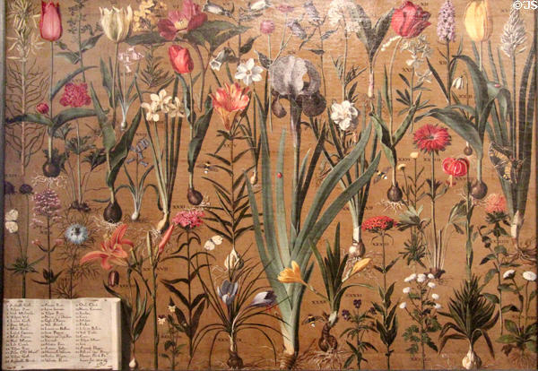 Study of flowers (c1614-5) by Girolamo Pini of Florence at Museum of Decorative Arts. Paris, France.