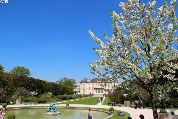 Flowering tree in garden of Rodin Museum. Paris, France.