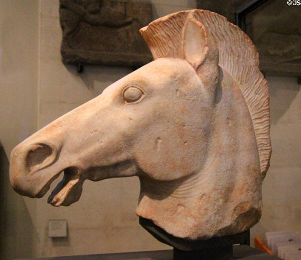 Greek marble horses head (c500 BCE) at Louvre Museum. Paris, France.