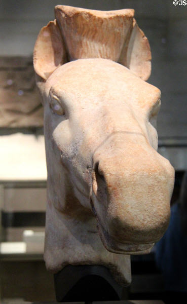 Greek marble horses head (c500 BCE) at Louvre Museum. Paris, France.
