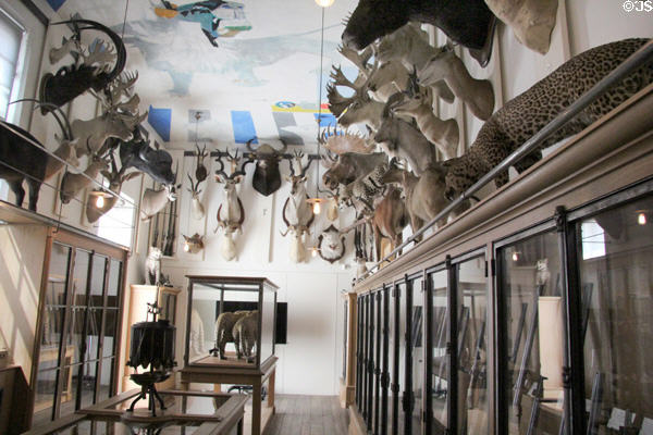 Trophy gallery at Museum of Hunting & Nature. Paris, France.
