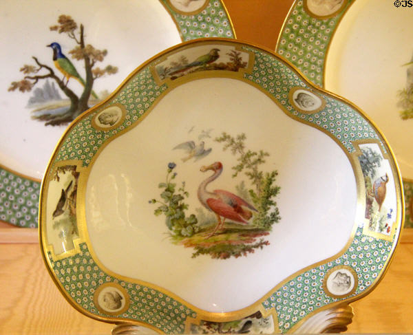 Sèvres Buffon porcelain serving plate with roseate spoonbill (1784-6) at Nissim de Camondo Museum. Paris, France.