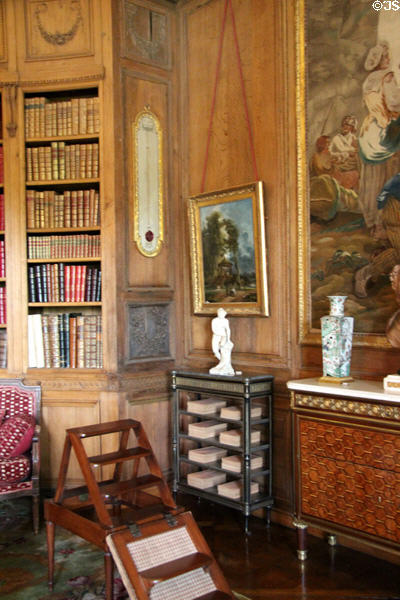 Library with folding library ladder at Nissim de Camondo Museum. Paris, France.