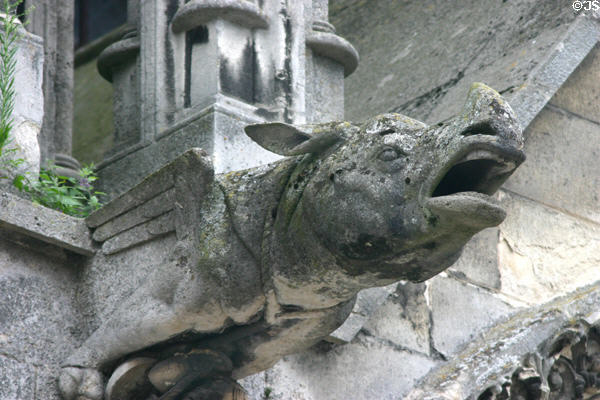 Rhinoceros gargoyle serving as water spout on Cathédrale Notre-Dame. Laon, France.