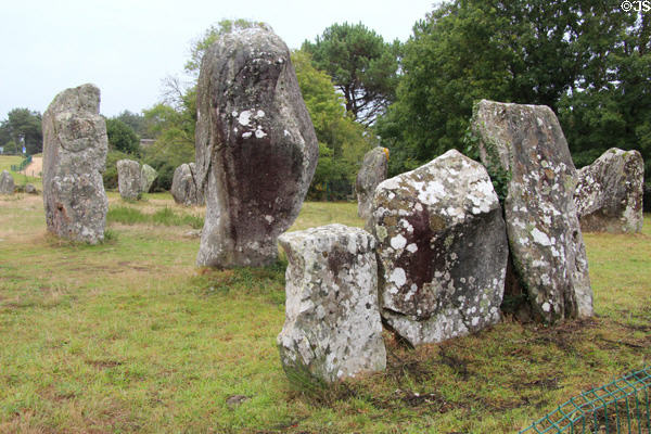Grouping of menhirs. Carnac, France.