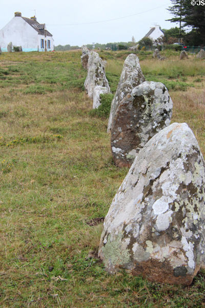 Alignment of menhirs typical dwelling in background. Carnac, France.