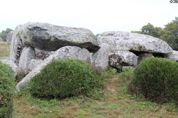 Dolmen (megalithic tomb) at Kermario Alignments. Carnac, France.