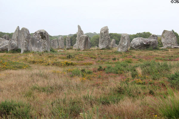 Field of menhirs at Kermario Alignments. Carnac, France.