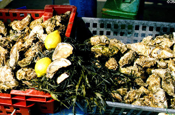 Oysters at Carnac open air market. Carnac, France.