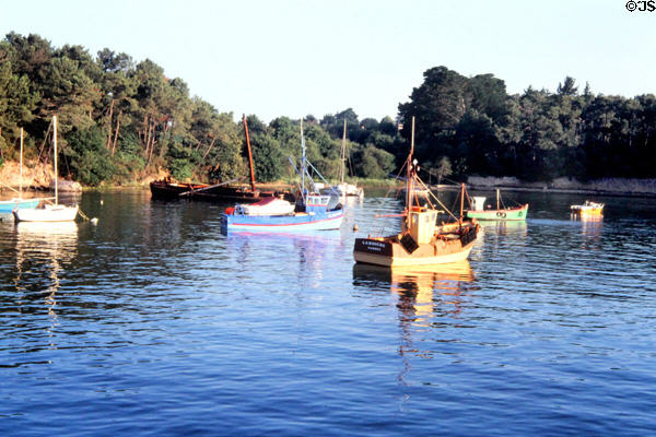 Boats resting in harbor. Gulf of Morbihan, France.