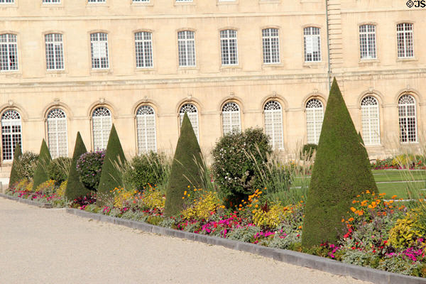 Garden with conical trees at Caen City Hall. Caen, France.