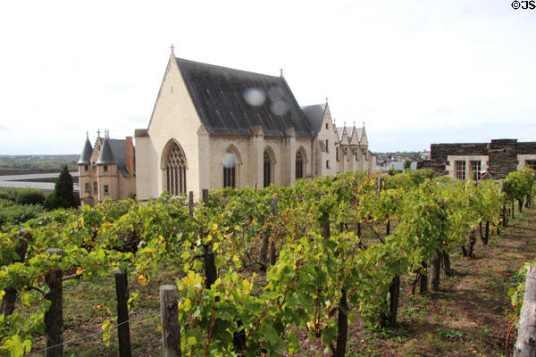 Chapel & vineyards within Angers Chateau. Angers, France.