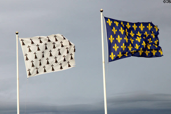 Ermine tail flag of Queen Anne of Brittany & Fleur de Lys of Kings of France at Chateau Royal of Amboise. Amboise, France.