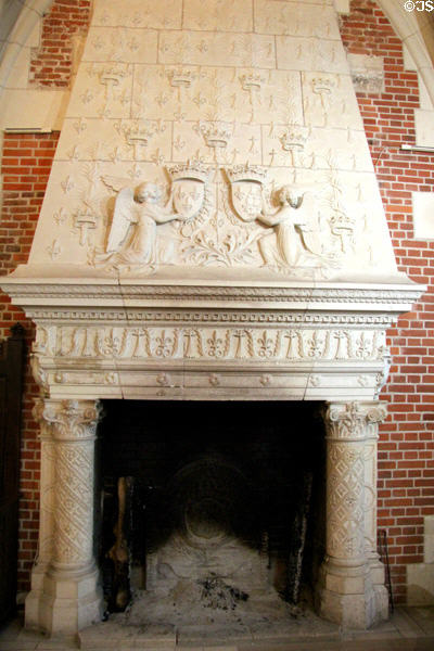 Trapezoidal carved marble fireplace decorated with royal emblems in Council Chamber, Royal Lodge at Chateau Royal of Amboise. Amboise, France.
