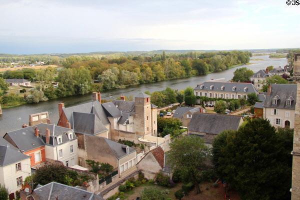 Homes lining the south bank of Loire River. Amboise, France.