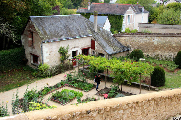 Kitchen garden, roses & grape vines at Château de Clos Lucé. Amboise, France.