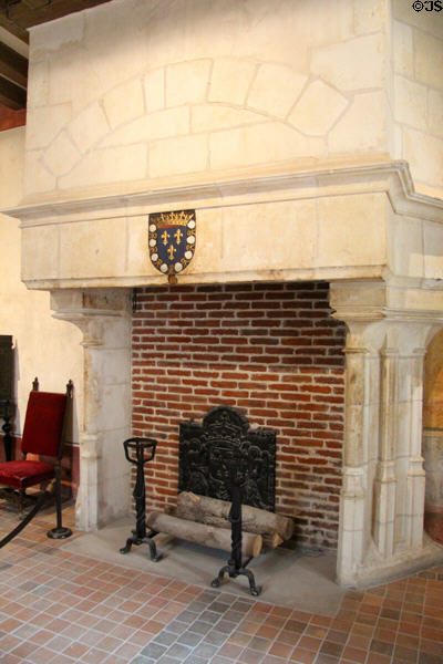 Fireplace decorated with the arms of France in da Vinci bedroom at Château de Clos Lucé. Amboise, France.