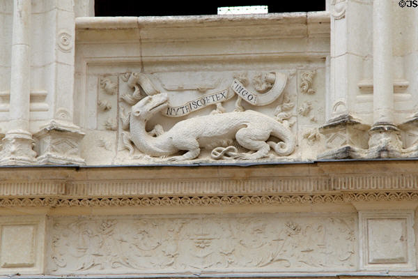 Carving of salamander surrounded by flames representing François I on Château d'Azay-le-Rideau. Azay-le-Rideau, France.