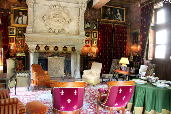 Biencourt Salon at Château d'Azay-le-Rideau. Azay-le-Rideau, France.