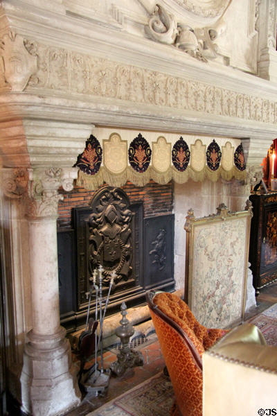 Ornate fireplace in Biencourt Salon at Château d'Azay-le-Rideau. Azay-le-Rideau, France.