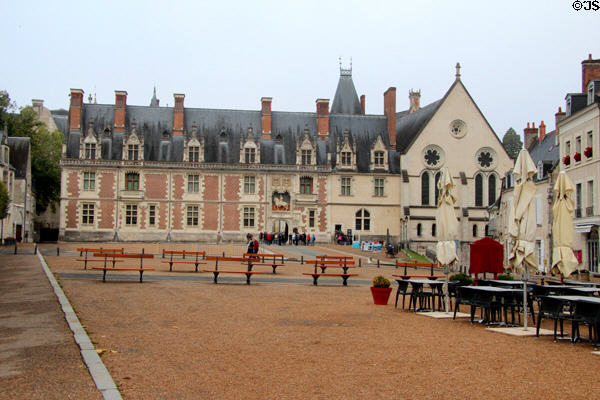 Forecourt leading to Blois Chateau. Blois, France.