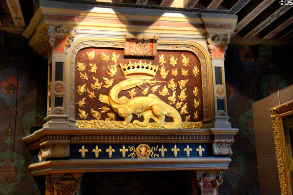 Council Chamber fireplace salamander amid flames at Blois Chateau. Blois, France.