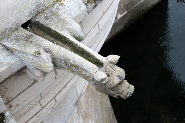 Gargoyle drainage at Chenonceau Chateau. Chenonceau, France.