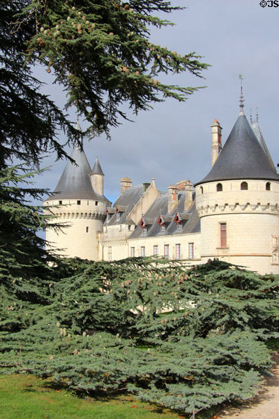 Chaumont-Sur-Loire Renaissance chateau seen from gardens. France.