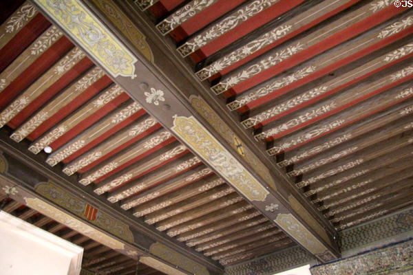 Painted ceiling beams with coats of arms in Council Chamber at Chaumont-Sur-Loire. France.