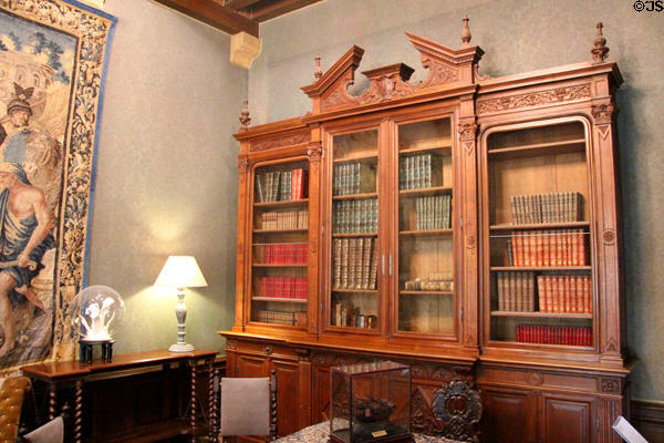 Bookcase in library at Chaumont-Sur-Loire. France.