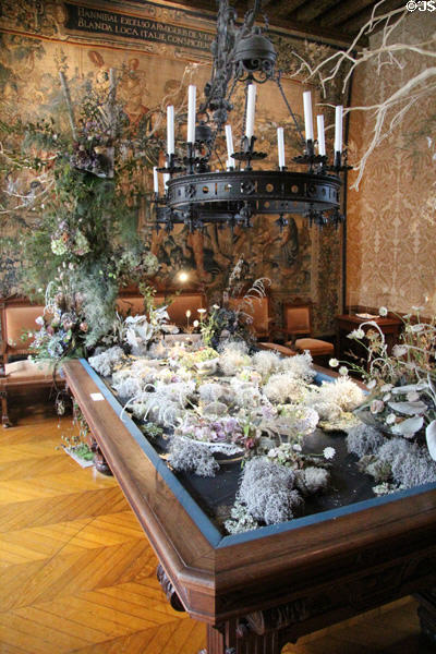 Billiard room with plant decoration at Chaumont-Sur-Loire. France.