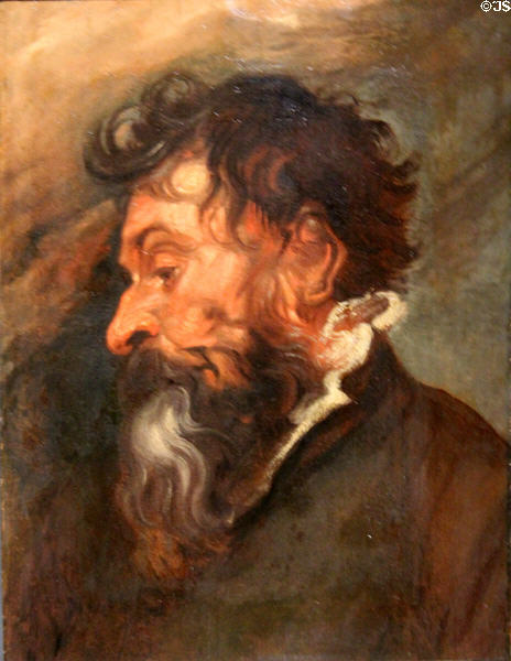 Head of old man painting (c1615-6) by Anthony van Dyck at Orleans Beaux Arts Museum. Orleans, France.