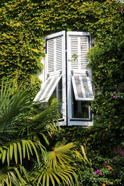 Greenery covered building with wooden shutters covering narrow windows. St Paul de Vence, France.