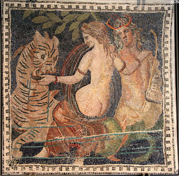 Roman mosaic of Triton, Nereid & sea monster (late 2ndC BCE) at Beaux-Arts Museum. Lyon, France.