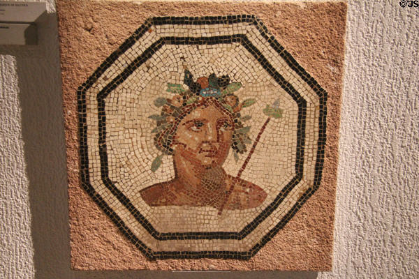 Roman mosaic of Bacchus (2nd-3rdC) at Gallo Roman Museum. Lyon, France.