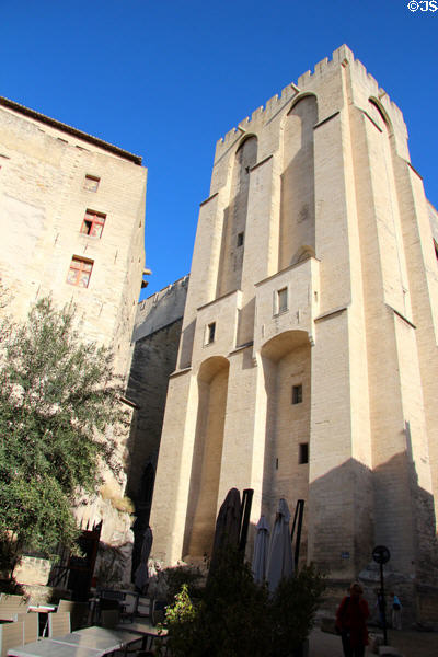 Rear towers of Papal Palace. Avignon, France.