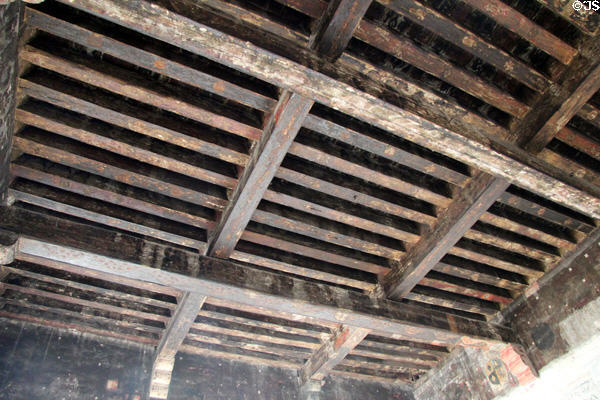 Remains of painted ceiling beams in Chamberlain's old chamber at Papal Palace. Avignon, France.
