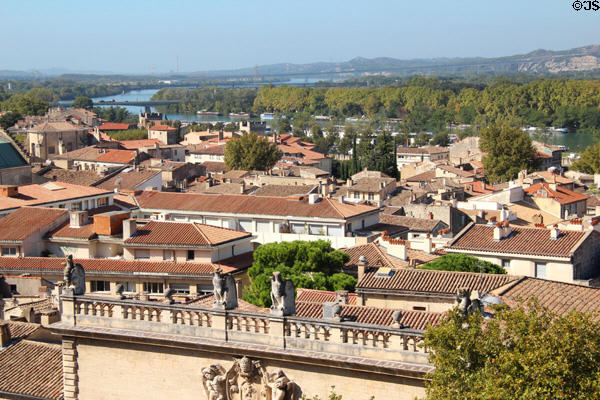 View of Avignon from Papal Palace. Avignon, France.