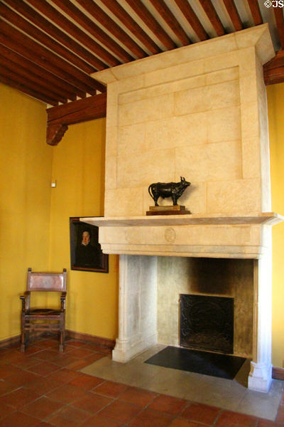 Fireplace at Museum Angladon, Jacques Doucet Collection. Avignon, France.