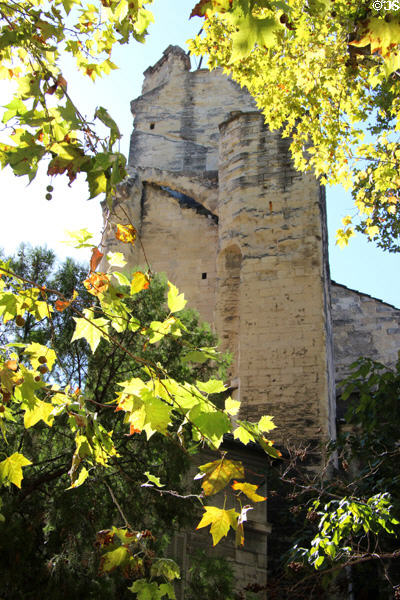 Cordeliers convent church (14thC) on rue des Teinturiers. Avignon, France.
