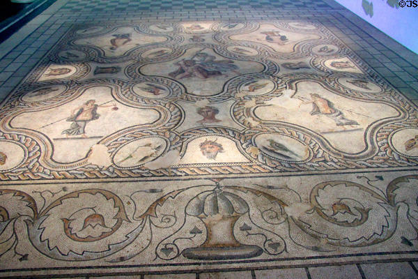 Large intact Roman mosaic floor with legend of King Pentheus after play by Euripides (2ndC) from Nimes house on ave. Jean-Jaurès at Musée de la Romanité. Nimes, France.