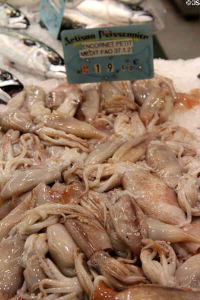 Squid at Nimes market. Nimes, France.