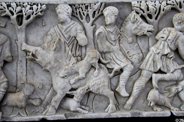 Detail of wild boar on carved hunting scene on Roman-era marble sarcophagus (3rdC) at Arles Antiquities Museum. Arles, France.