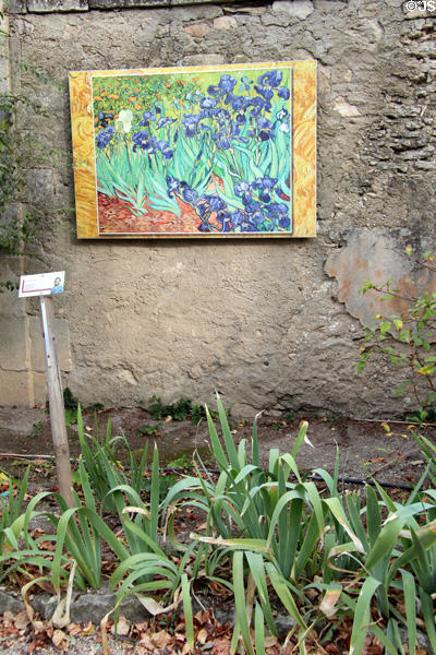Replica of Van Gogh's Irises painting of 1889 over iris bed at Saint-Paul Asylum. Saint-Rémy-de-Provence, France.