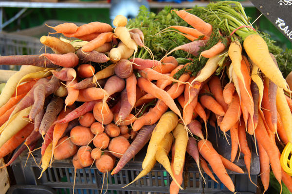 Variety of carrots at vegetable market. Aix-en-Provence, France.