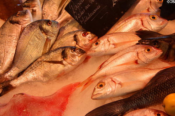 Range of fish at vegetable market. Aix-en-Provence, France.