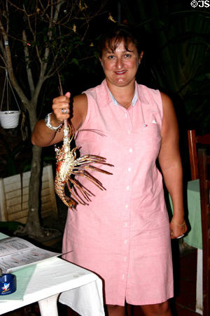 Lobster selected by patron of restaurant in Gosier. Gosier, Guadeloupe.